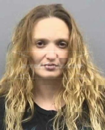 Tammy Ann Renner