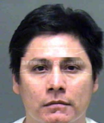 Nicasio Hernandez-Vallejo