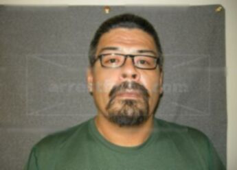 Marcus J Bear
