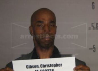 Christopher A Gibson