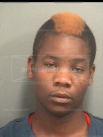 Kenisha S Ellison