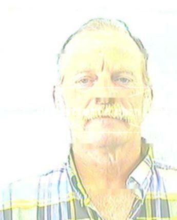 Donald L Bray