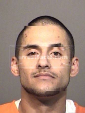 Jose Sylvester Flores