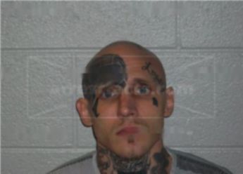 Justin Morgan Phillips