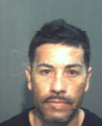 Manuel Miguel Sepulveda