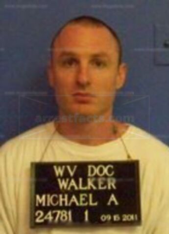 Michael A Walker
