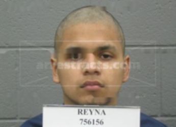 David Enrique Reyna