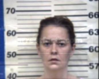 Alicia L. Napier