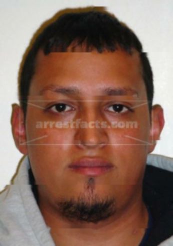 Aldo Guerra