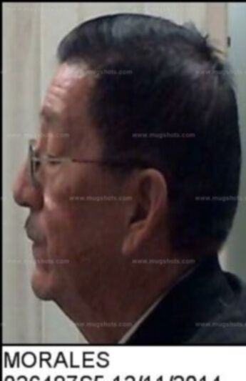 Rafael Morales