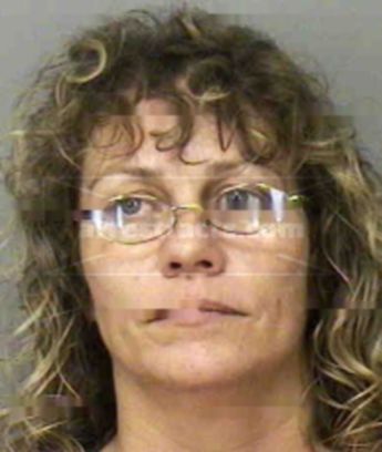 Julie Ann Collins