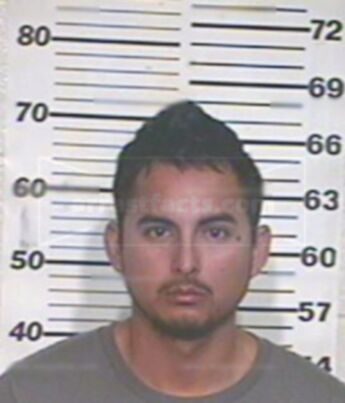 Nelson Luis Vega