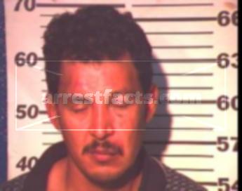 David Reynaldo Landeros Morin