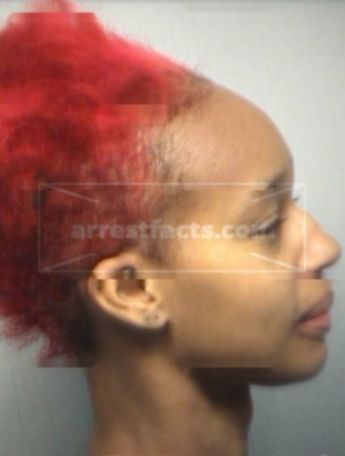 Daneka Lashay Wright