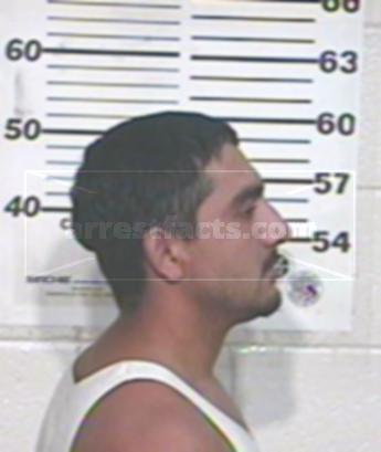 Jesus Alejandro Perales Gaona