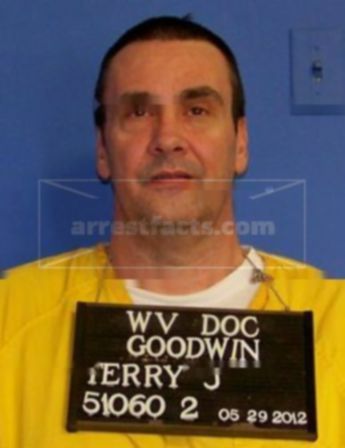 Terry J Goodwin