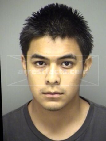 Bryan Odilon Villanueva