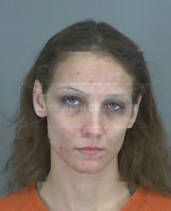 Ashley Brook Fortner