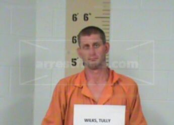 Tully Bruce Wilks