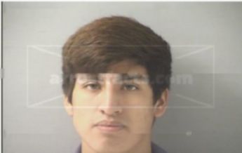 Kin Stewart Delgado