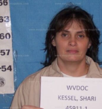 Shari Ann Kessel