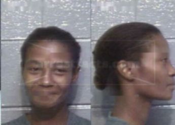 Brenda Joyes Hudson