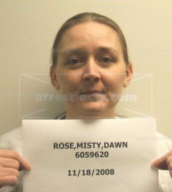 Misty Dawn Rose