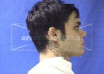 Rami William Carroll