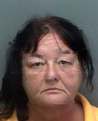 Robin Lynne Britton