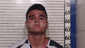Dristen Leal Newman