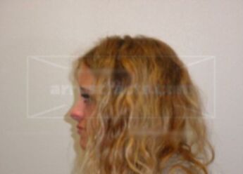 Allison M Gerondale