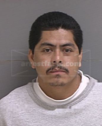 Thomas Molina Luna