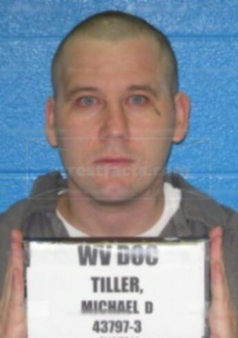 Michael D Tiller Jr.