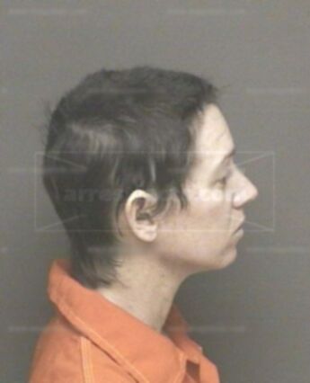 Dana Michelle Posener