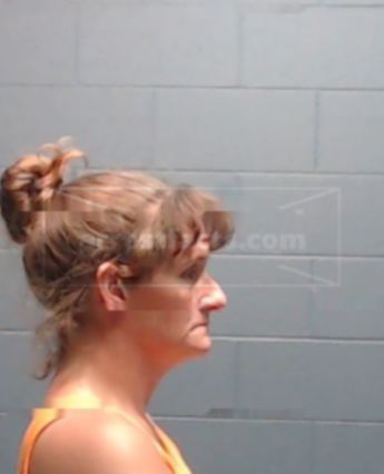 Cheryl Elaine Bryan