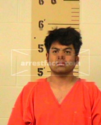 Albert Landon Solorzano