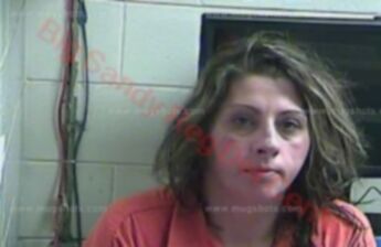 Melissa M Wheeler