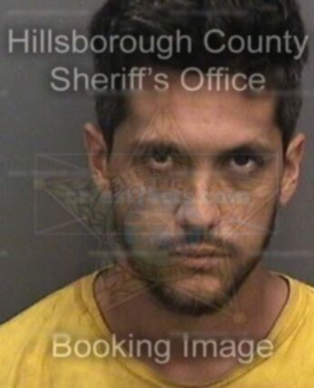 Joshua Daine Folsom