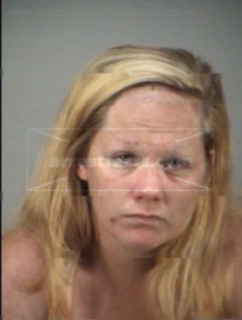 Stacey Lee Vansant