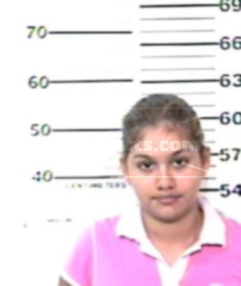 Carol Ann Salinas Aleman