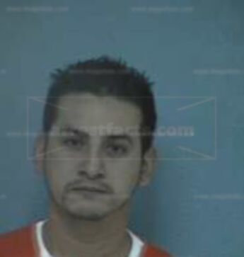 Mario Andres Gomezarenas