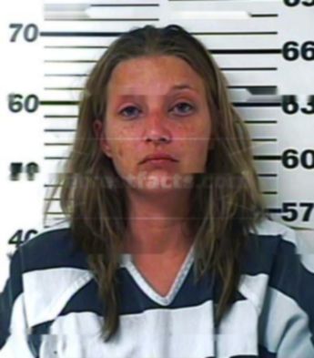 Melissa Ann Mitchell