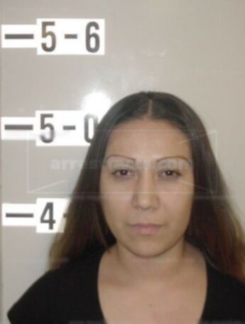 Erika Torres Arroyo