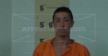 Roy Matthew Holman