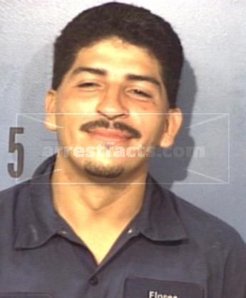 David Cerda Flores