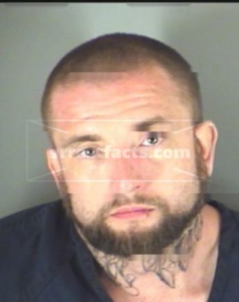 Amos Everett Higgins