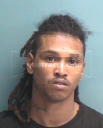 Daniel Mckenzie Brewer