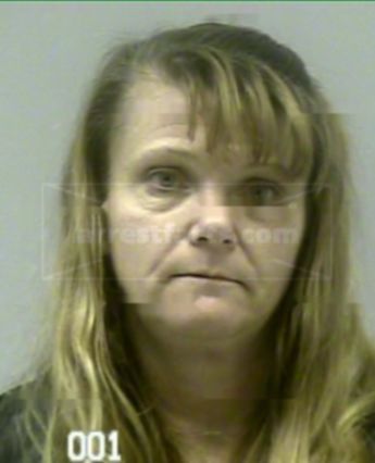 Carol Elaine Croy