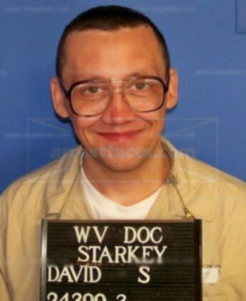 David S Starkey