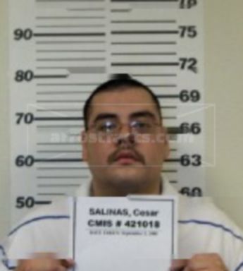 Cesar Salinas